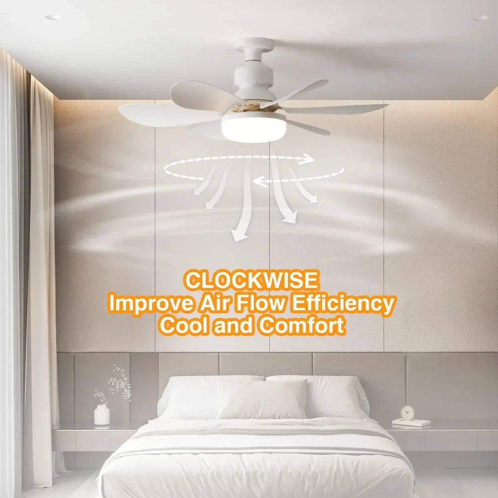 Portable LED Ceiling Socket Fan